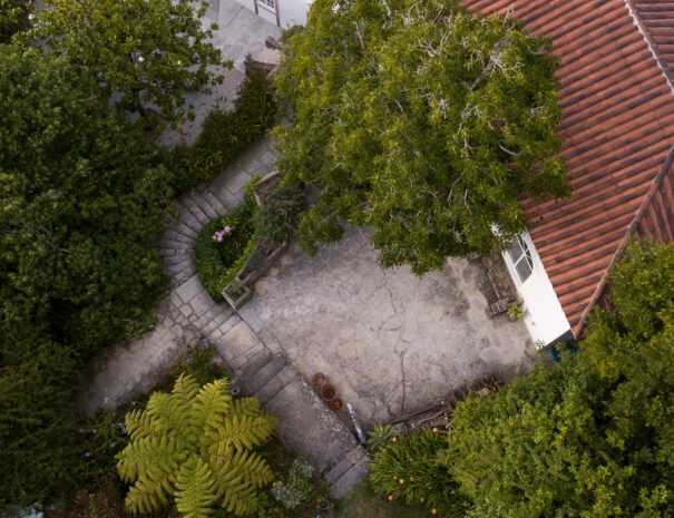 29062019-29062019-DJI_0361